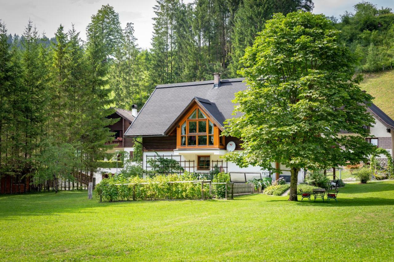 Ferienhaus Goestling Villa Göstling an der Ybbs Exterior foto
